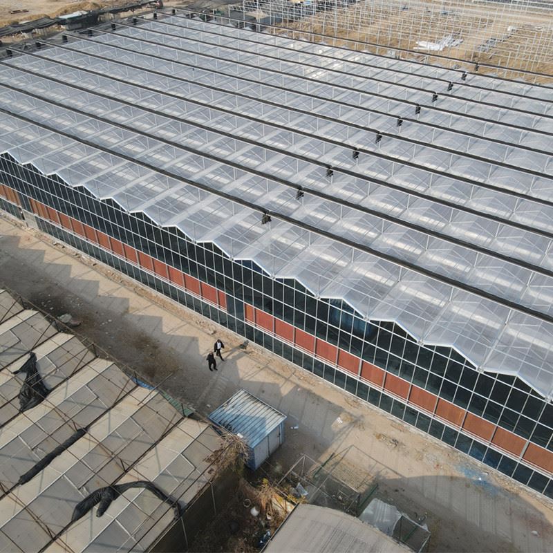 Large Greenhouse Structure